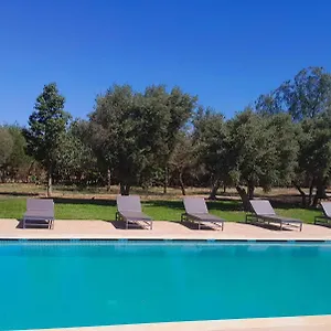 Agora, A La Campagne Proche Marrakech , Sidi Abdallah Ghiat Maroc