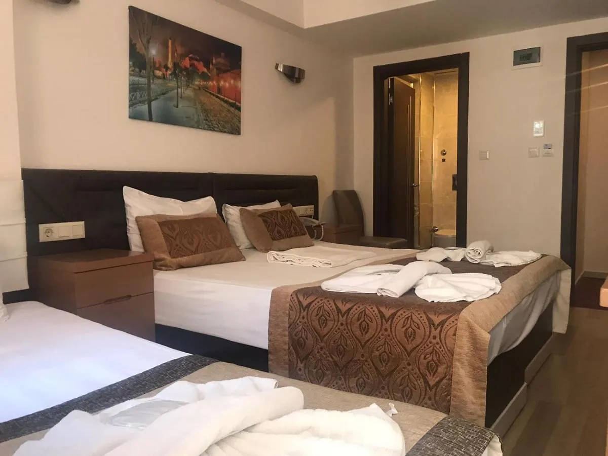 Sultanahmet Milan Hotel&Spa Istanboel Turkije